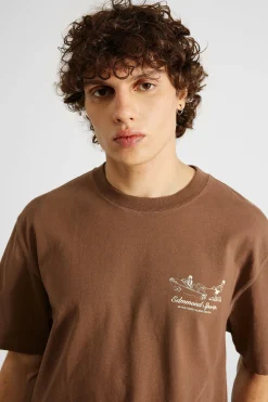 Store Calypso Ii Plain Brown Men T-Shirts